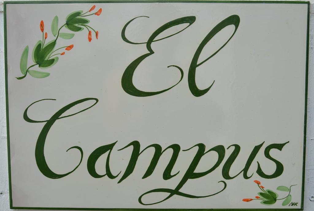 Вилла El Campus Алайор Экстерьер фото